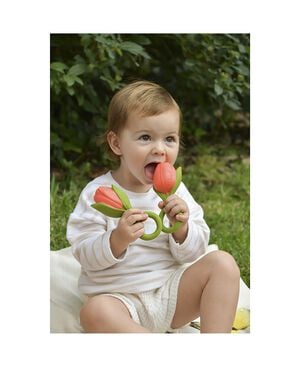 Oli & Carol - Bidering - Theo the Tulip