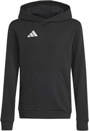 ENT26 HOODY Y