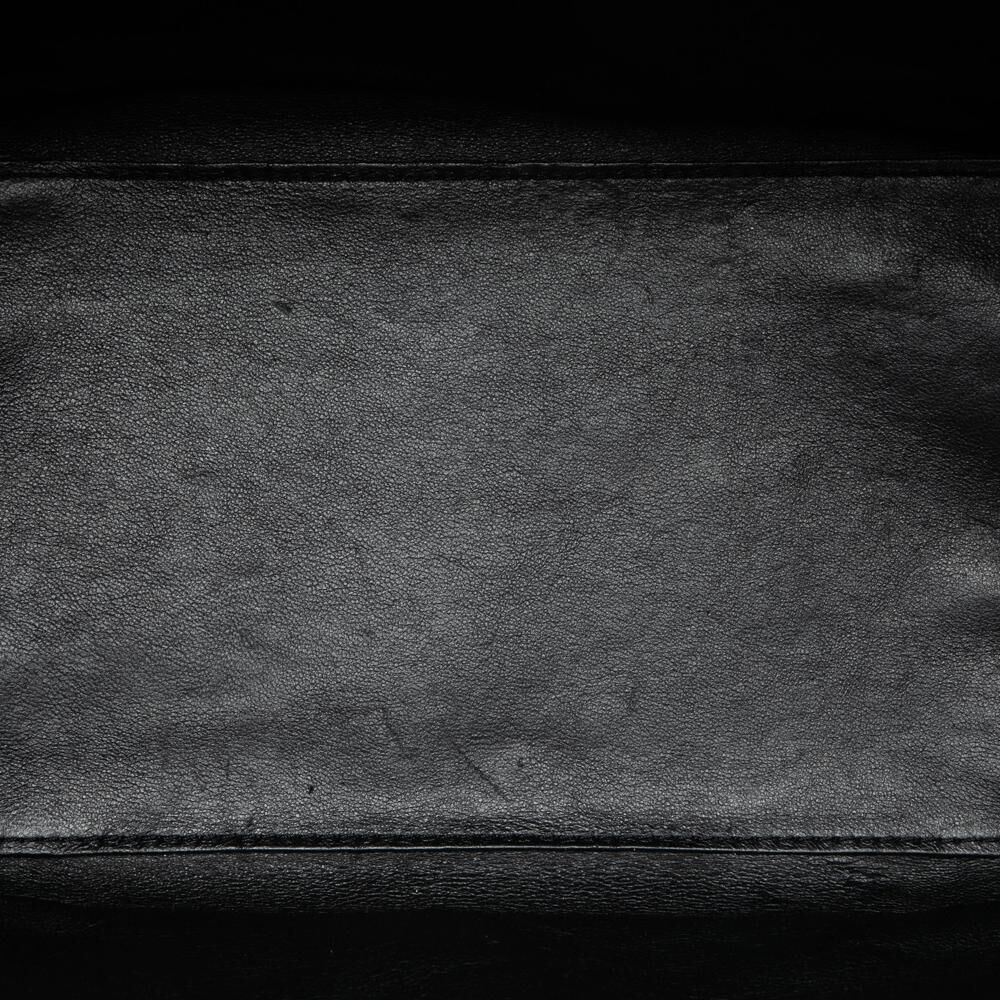 Celine Luggage
