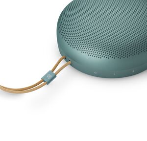 Beosound A1 3rd Gen Green Eucalyptus