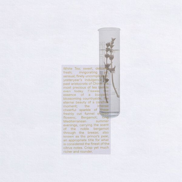 White Tea Eau De Toilette