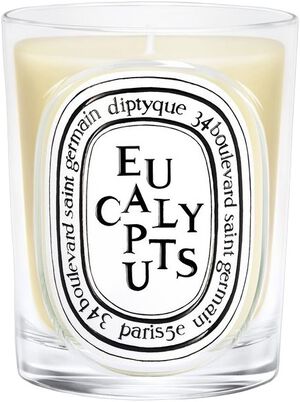 Eucalyptus Classic candle 190g/6. 7oz