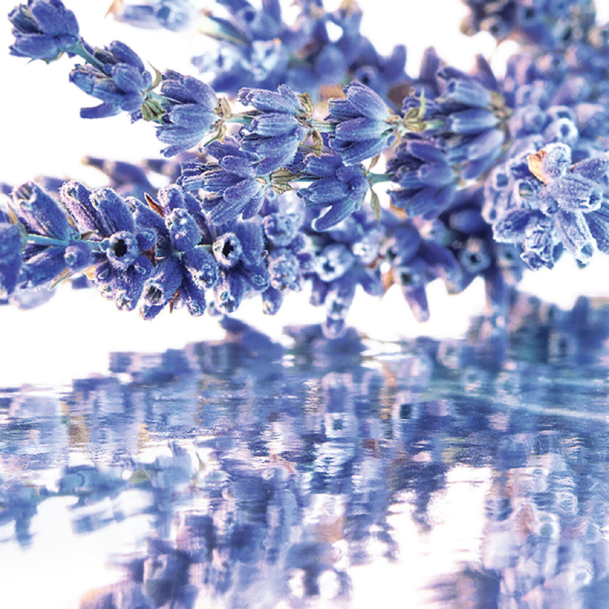 Mon Guerlain Eau de Parfum