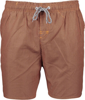 Lake badeshorts