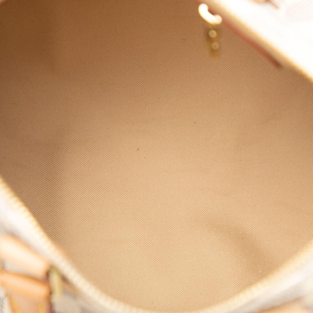 Louis Vuitton Speedy