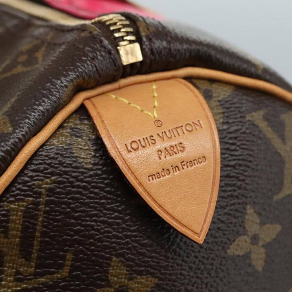 Louis Vuitton Handbag