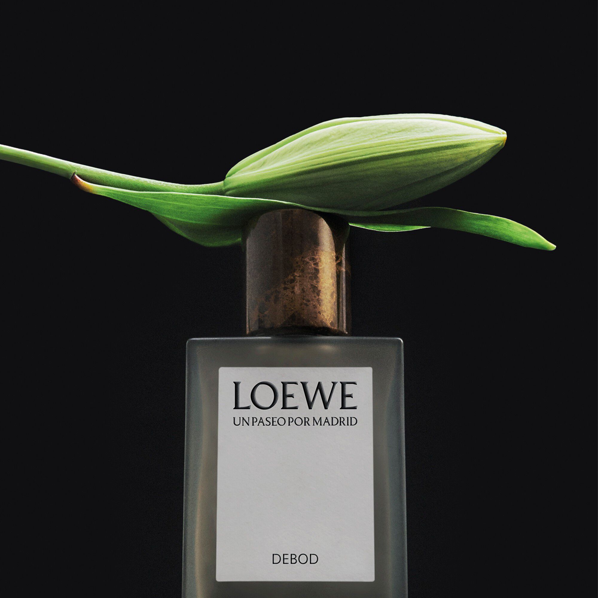 LOEWE Un Paseo por Madrid Debod Eau de Parfum 100 ml