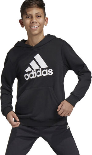 Must Haves Badge Of Sport Pullover