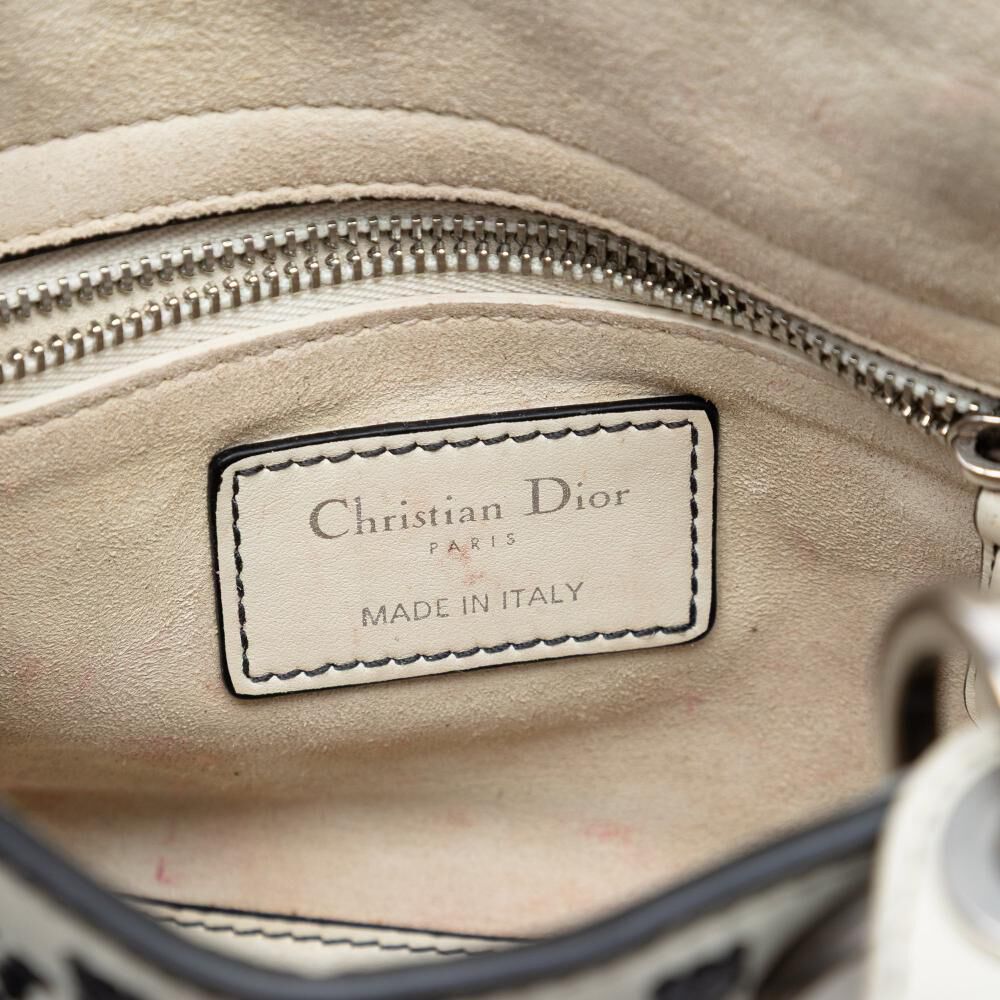 Dior Lady Dior