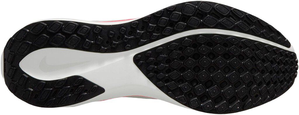 Pegasus 41 L&oslash;besko