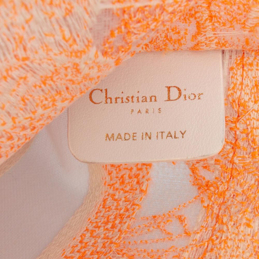 Dior Book Tote