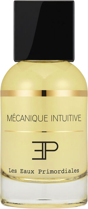 LES EAUX PRIMORDIALES Mécanique Intuitive 50 ml