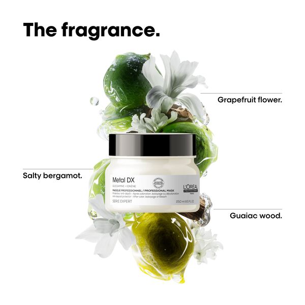 L'Oréal Professionnel Metal DX Mask 250ml