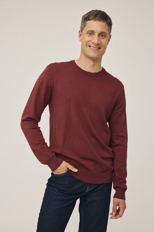 Sander