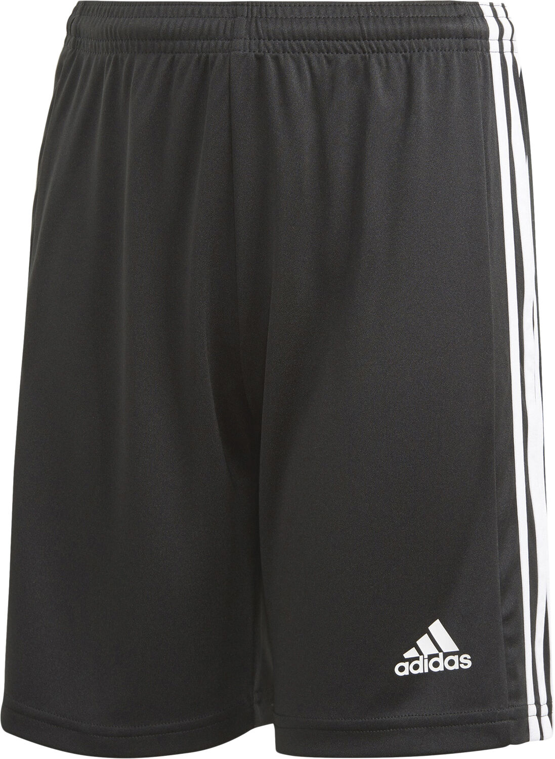 Squadra 21 shorts