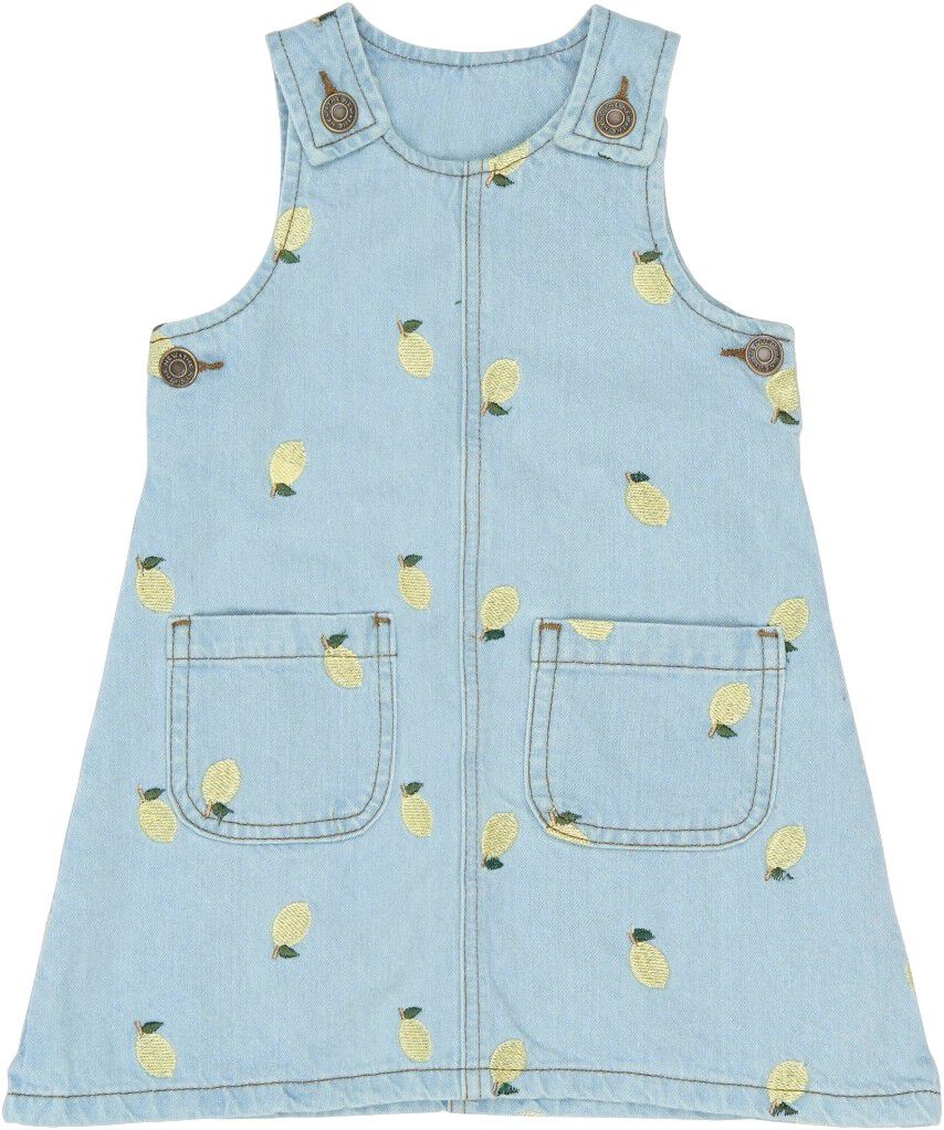 TNSTSaja S_L Denim Dress