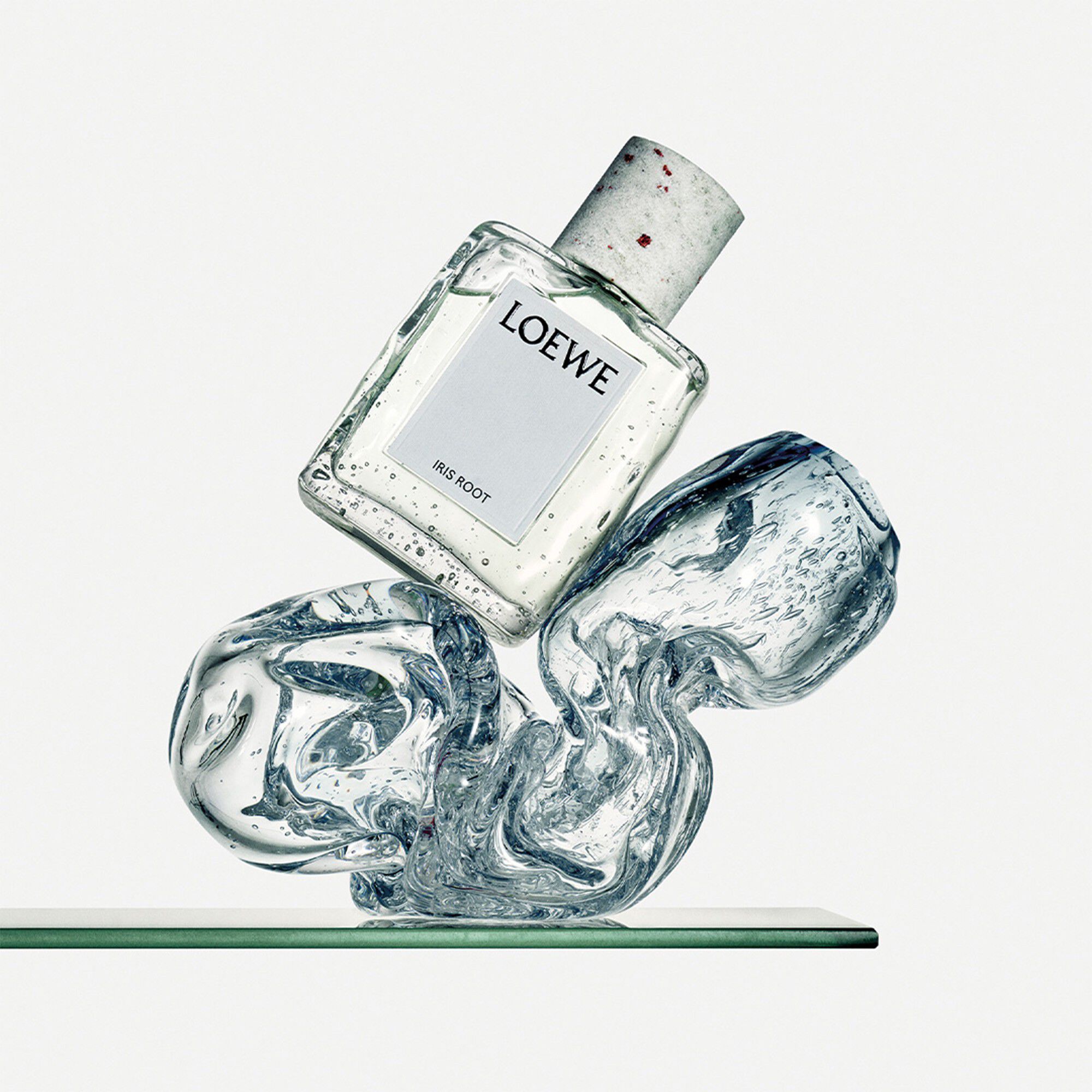 LOEWE Crafted Collection Iris Root Eau de Parfum 100 ml