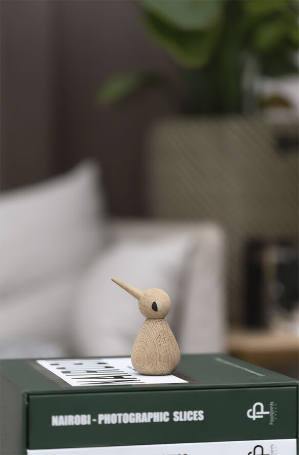 Bird lille egetræ natur