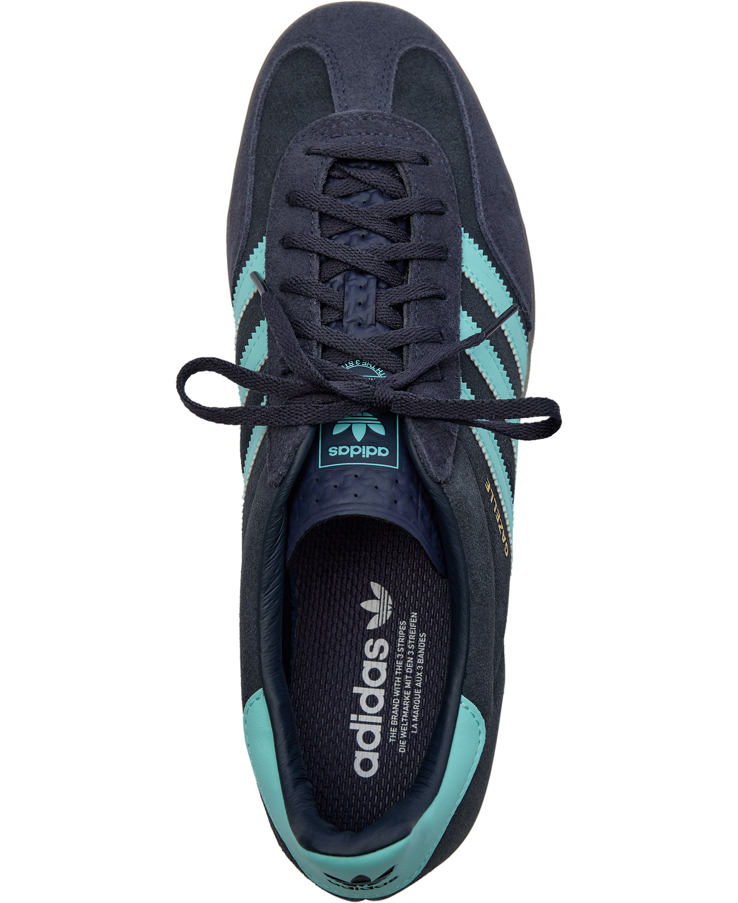GAZELLE INDOOR