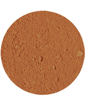 All Over Face Color Bronzer Faux tan 0. 9 GR
