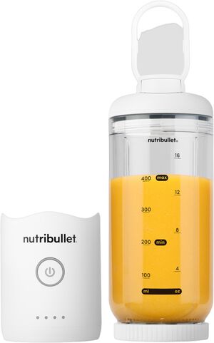 Flex b&aelig;rbar blender NBP013