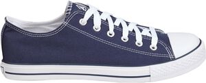 Canvas Low III