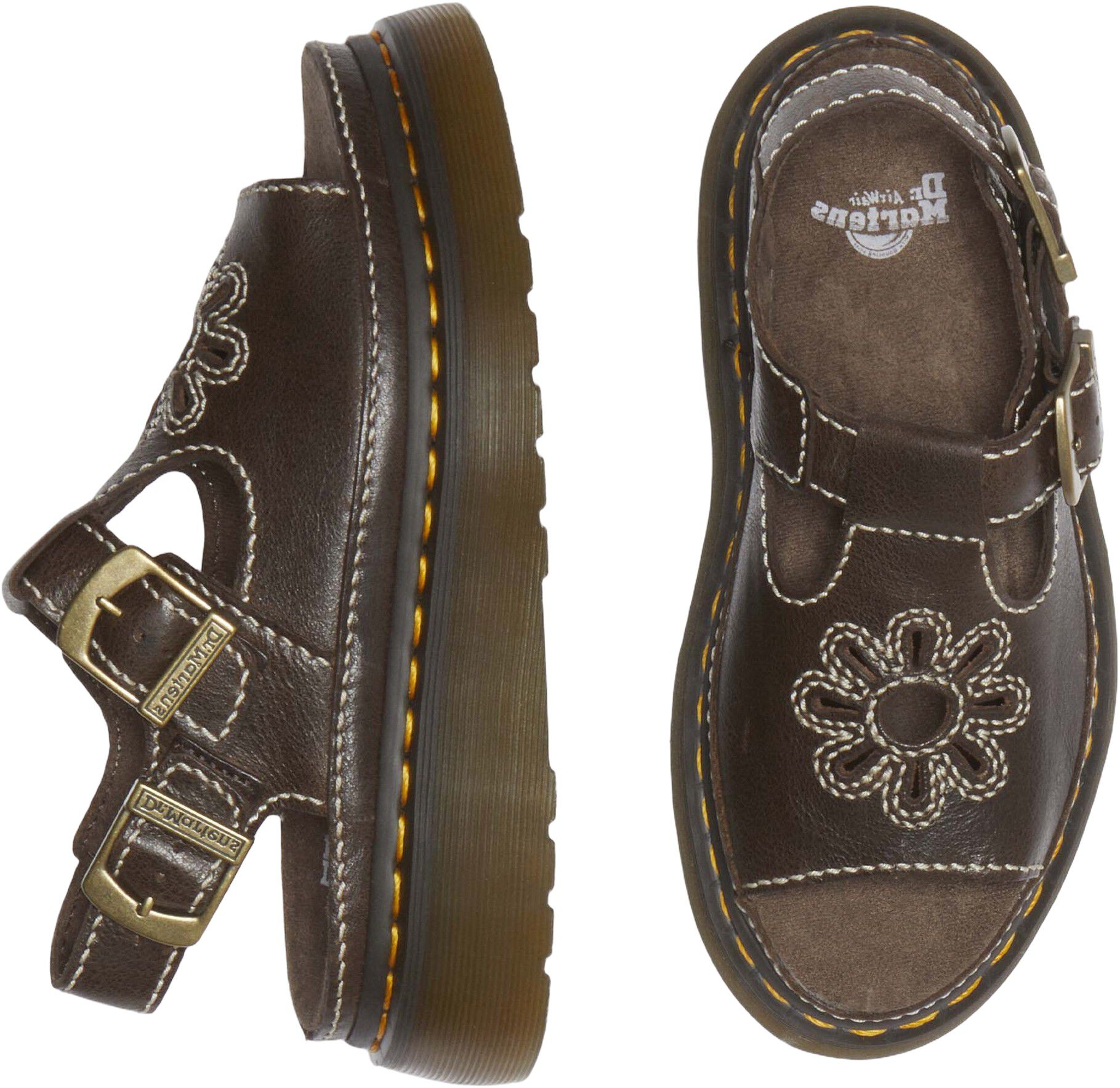 Dunnet Flower Kelp Brown Ar Rogue