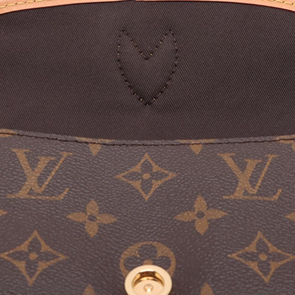 Louis Vuitton Shoulder Bags
