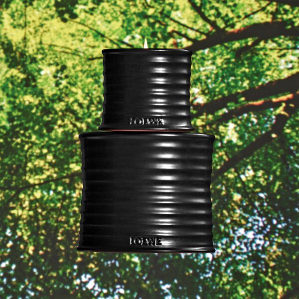 LOEWE Palo Santo Small Candle
