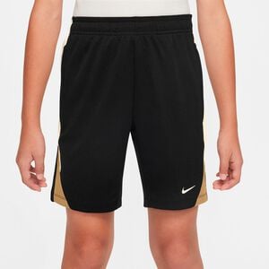 Strike Dri-FIT shorts