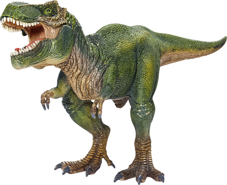 SCH14525 Tyrannosaurus Rex