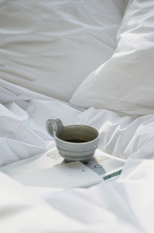 Fossflakes Dyne, Winter