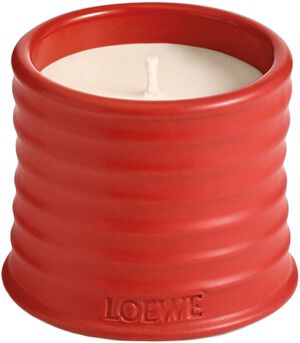 LOEWE S Tomato Candle