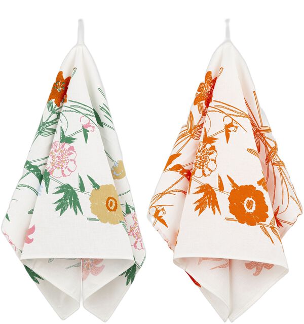 PUUTARHAKUTSUT K. PYYHE 2 KPL