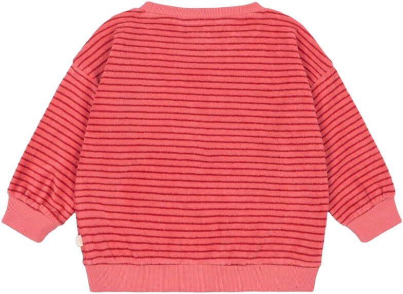 Itty sweat Shirt Gots
