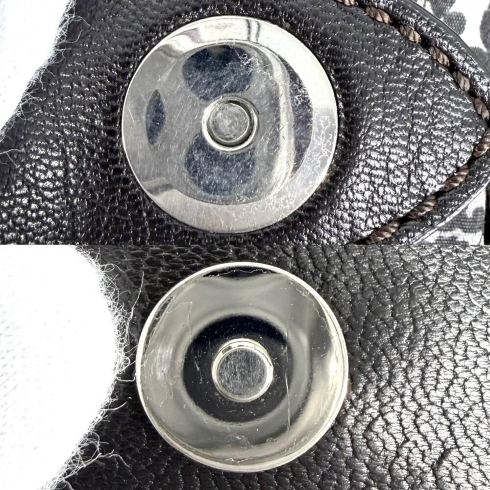 Celine Tote