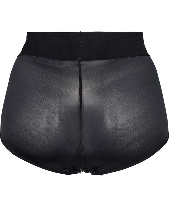 Sheer Touch Control Panty