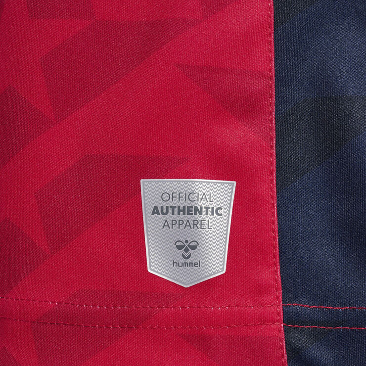 Astralis 22/23 CSGO Replica spillertrøje