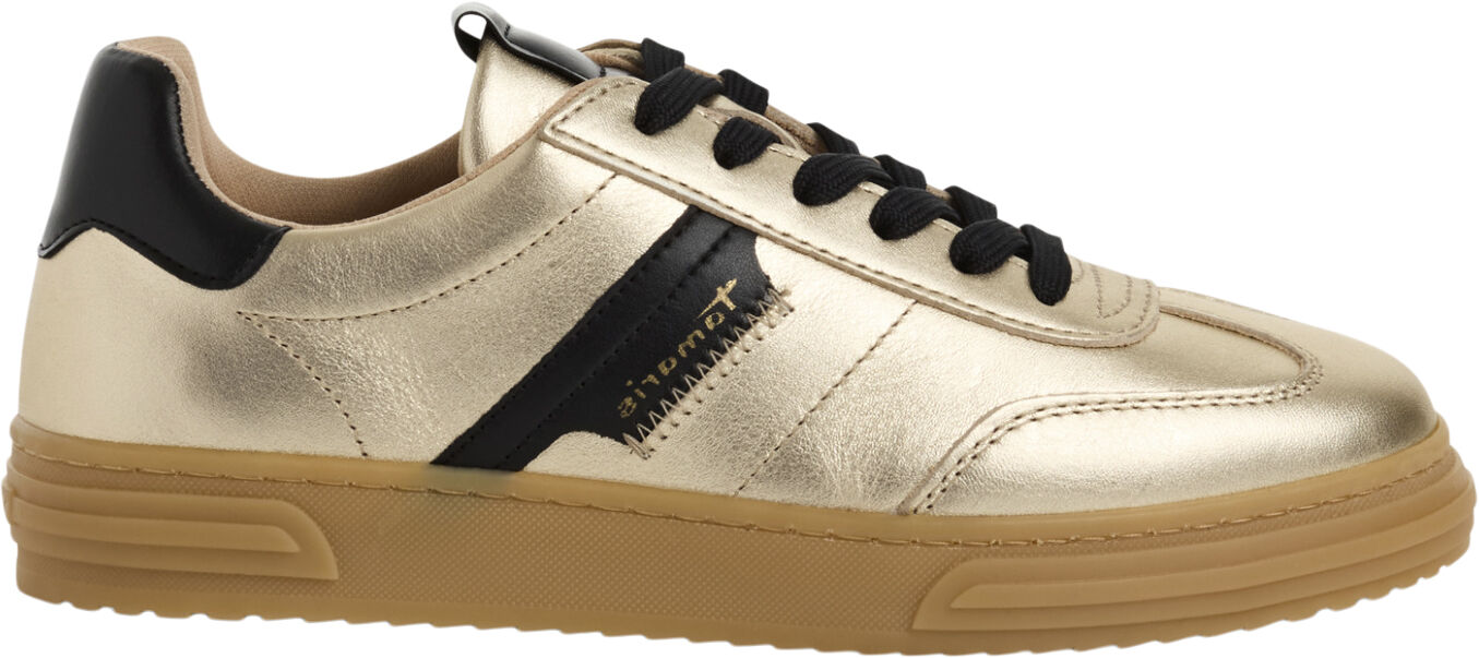1-23788-42