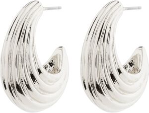ASLE earrings silver-plated