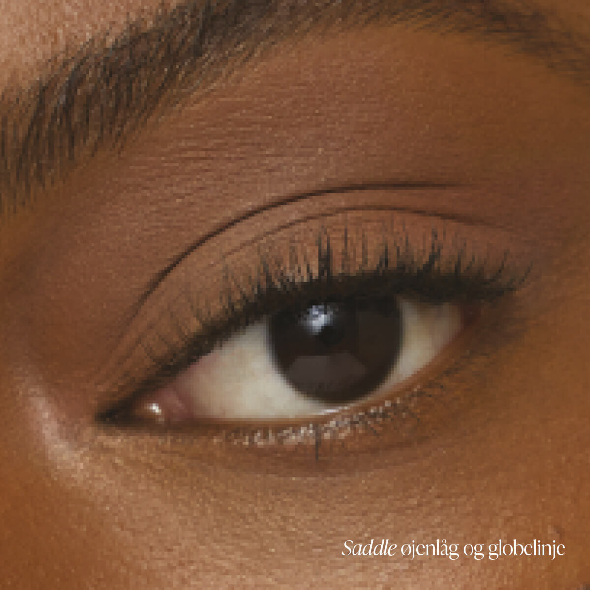 ColorLuxe Eye Shadow Stick