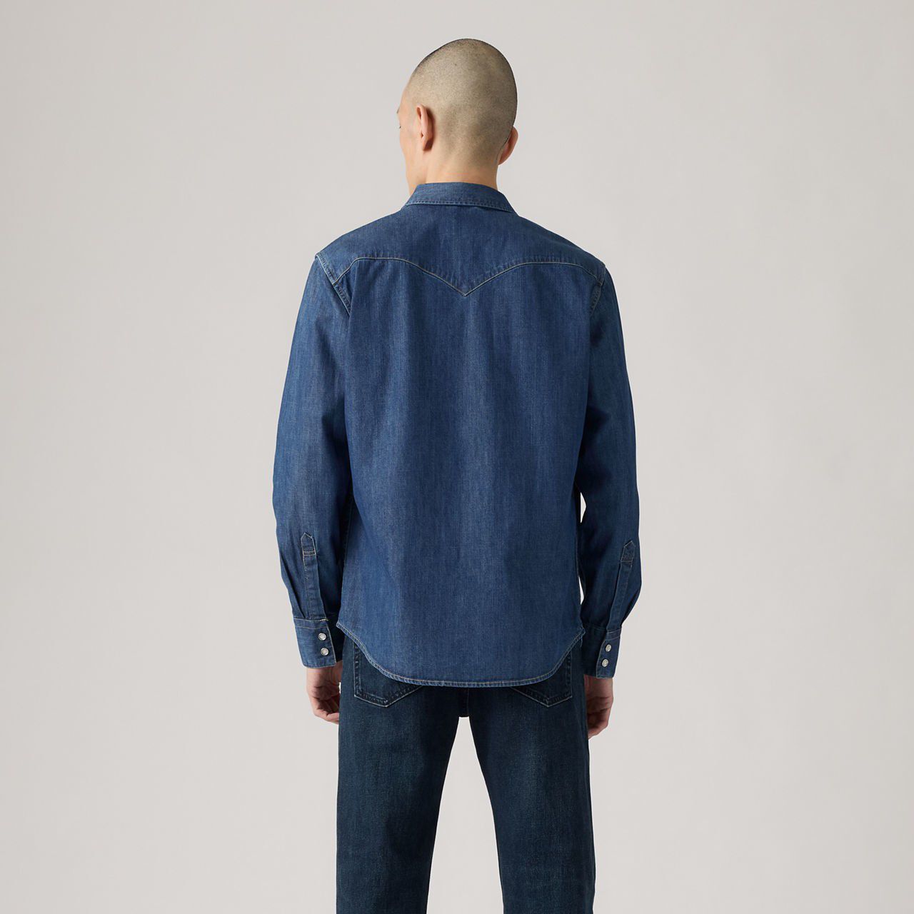 Barstow Western Standard Fit Shirt