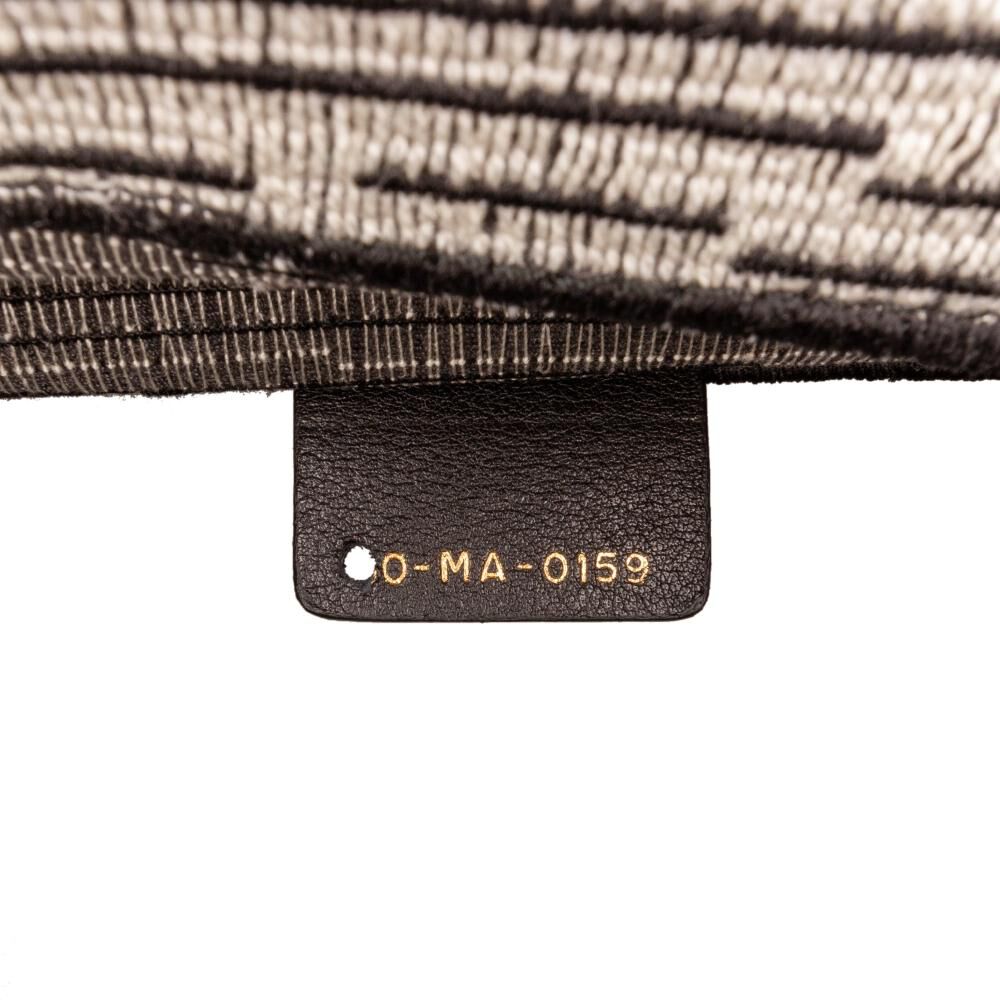 Dior Book Tote