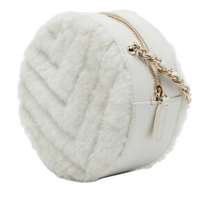 Chanel Crossbody Bag