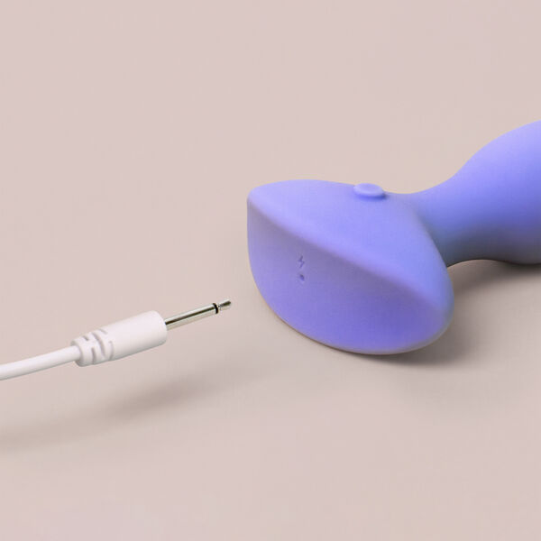 The Neighbor Anal Vibrator