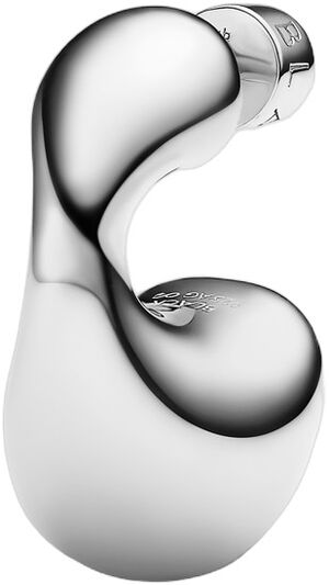 Dolphin Earring Small Silver
