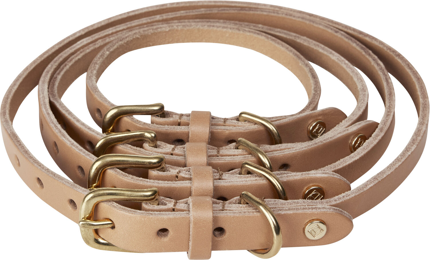 Robin Hundehalsb&aring;nd - Lille