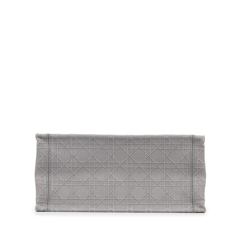 Dior Book Tote