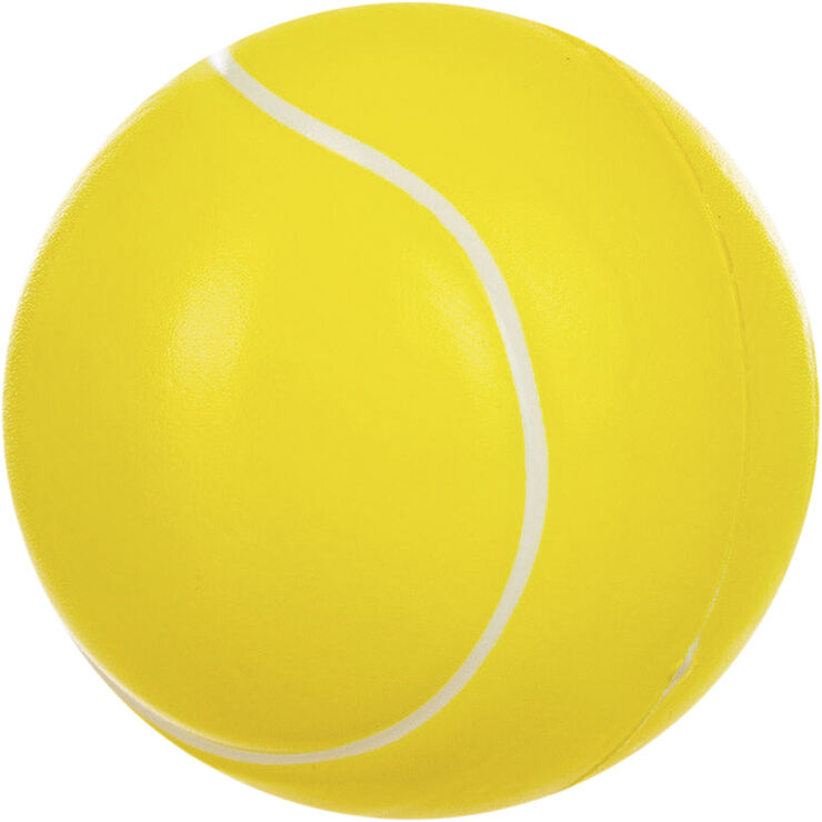 Bigminton Set