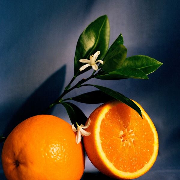 LOEWE Orange Bloss Medium Candle